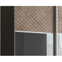 Шкаф-купе двухдверный София13