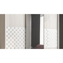 Шкаф-купе Модус 21