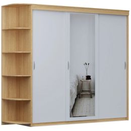 Шкаф-купе Home (миллениум) 3 с зеркалом