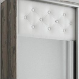 Шкаф-купе двухдверный София 2