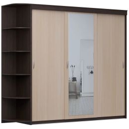 Шкаф-купе Home (миллениум) 3 с зеркалом