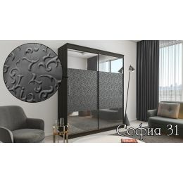 Шкаф-купе двухдверный София 31