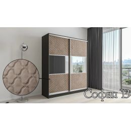 Шкаф-купе двухдверный София13