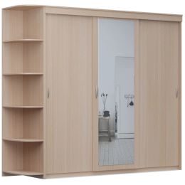 Шкаф-купе Home (миллениум) 3 с зеркалом