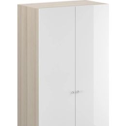 Шкаф 2-дверный Леон мдф глянец