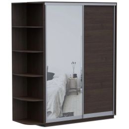 Шкаф-купе Хит Байкал-Рамир (Версаль) 2