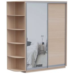 Шкаф-купе Хит Байкал-Рамир (Версаль) 2