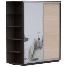 Шкаф-купе Хит Байкал-Рамир (Версаль) 2