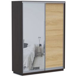 Шкаф-купе Хит Байкал-Рамир (Версаль) 2