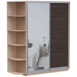 Шкаф-купе Хит Байкал-Рамир (Версаль) 2