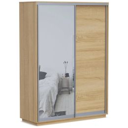 Шкаф-купе Хит Байкал-Рамир (Версаль) 2