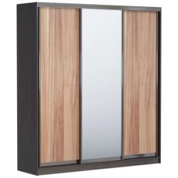 Шкаф-купе Корсика 240 трехдверный с зеркалом 1