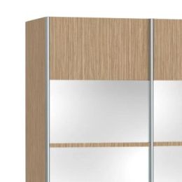 Шкаф-купе Скай 1