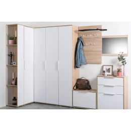 Шкаф для одежды Куба 13.136