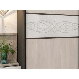 Шкаф-купе Венера 14 глянец