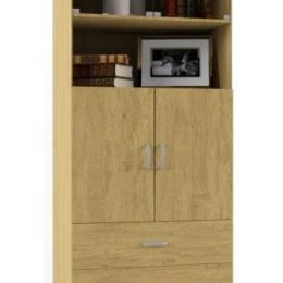 Шкаф книжный Галла-4 стиль 1