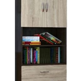 Шкаф книжный Галла-3