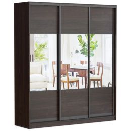 Шкаф-купе Корсика 240 трехдверный с зеркалом 5