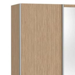 Шкаф-купе Скай 3