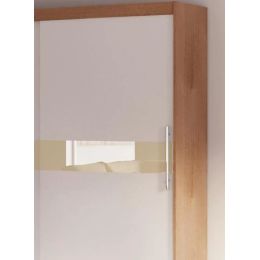 Шкаф-купе Бася дизайн 14 двухдверный