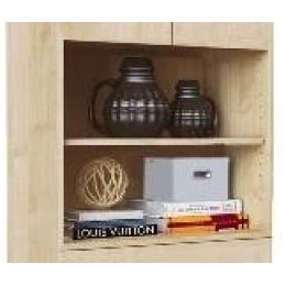 Шкаф книжный Галла-1