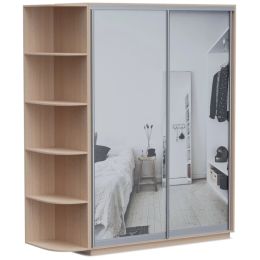 Шкаф-купе Хит Байкал-Рамир (Версаль) 4