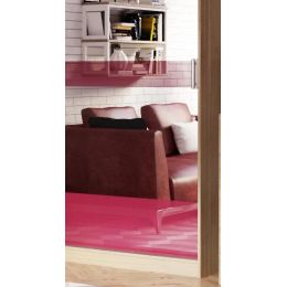 Шкаф-купе Бася дизайн 16 двухдверный