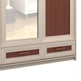 Шкаф-купе Сакура 5