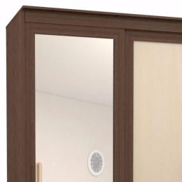 Шкаф-купе Сакура 21