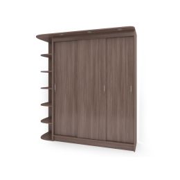 Шкаф-купе Галакси (Galaxy) 3