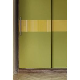 Шкаф-купе Бася дизайн 2 трехдверный