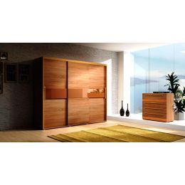 Шкаф-купе амадеус модерн стекло лакобель