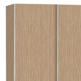 Шкаф-купе Скай 5