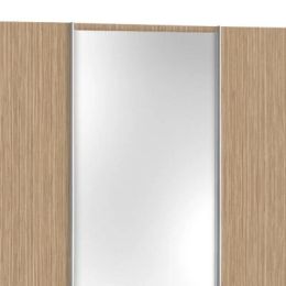 Шкаф-купе Скай 6