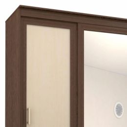 Шкаф-купе Сакура 4