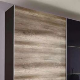 Шкаф-купе Элит 49 Модерн амадеус HAFELE стекло лакобель