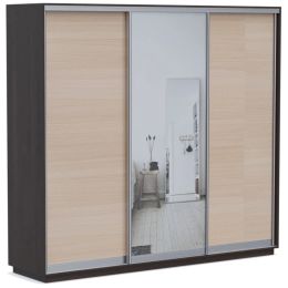 Шкаф-купе Байкал Трио Экспресс (Версаль) 5