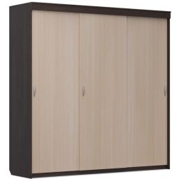 Шкаф-купе Home (миллениум) 3