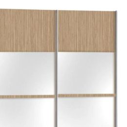 Шкаф-купе Скай 4