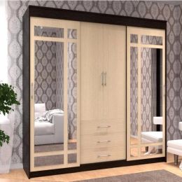 Шкаф-купе Фортуна-фаворит с зеркалами