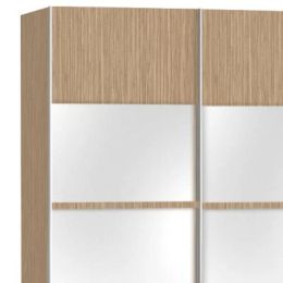 Шкаф-купе Скай 4