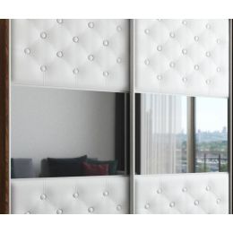 Шкаф-купе двухдверный София 9