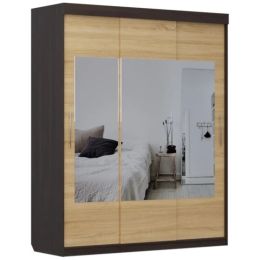 Шкаф-купе Слайди 3 зеркало