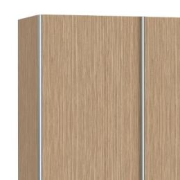 Шкаф-купе Скай 2