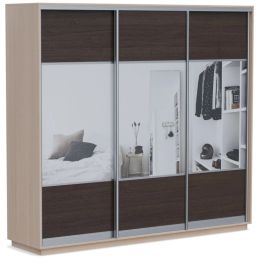 Шкаф-купе Байкал Трио Экспресс (Версаль) 6