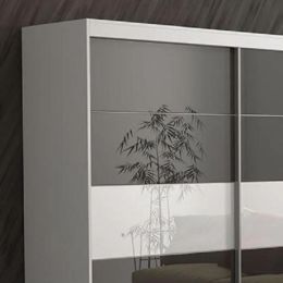 Шкаф-купе Модерн амадеус Домашний 6 альянс зеркало стекло лакобель