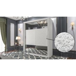 Шкаф-купе двухдверный София 30