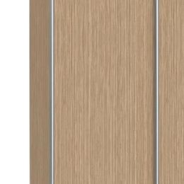 Шкаф-купе Скай 2