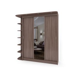 Шкаф-купе Галакси (Galaxy) 3